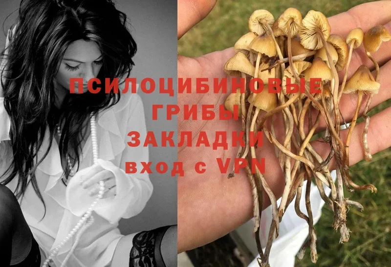 Галлюциногенные грибы MAGIC MUSHROOMS  Любань 